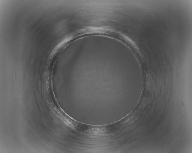 X0000080151411200612081310