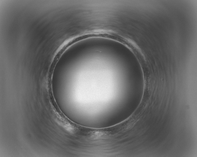 X0000080151412200612081310