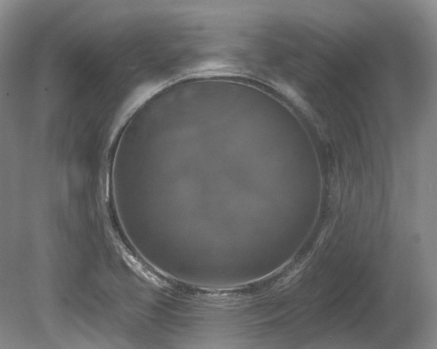 X0000080151413200612081310