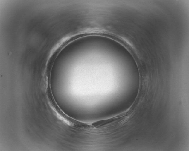 X0000080151414200612081310