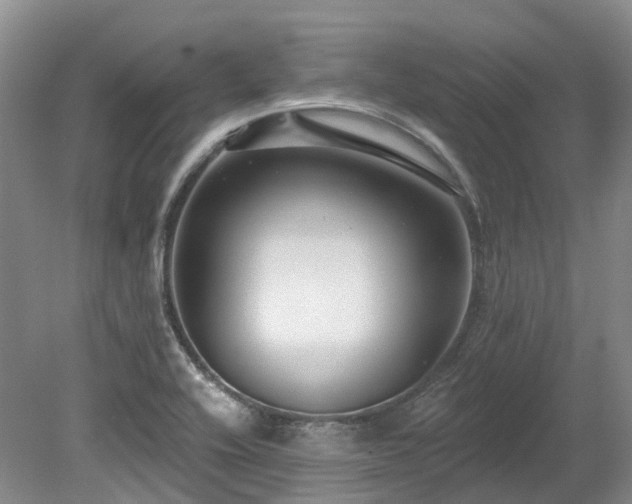 X0000080151416200612081310