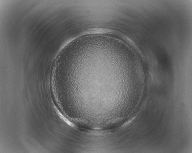 X0000080151417200612081310