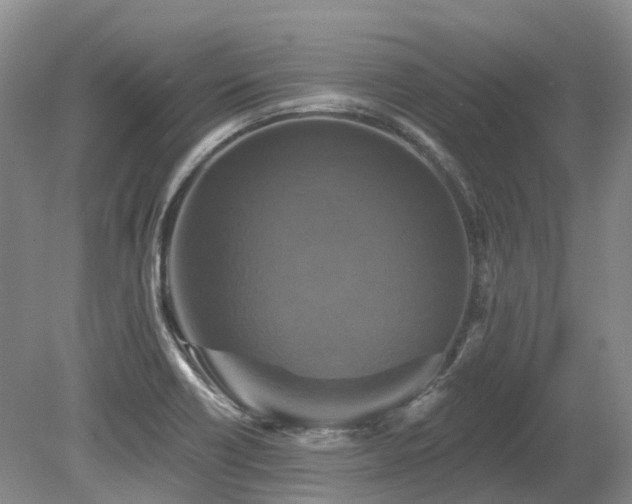 X0000080151418200612081310