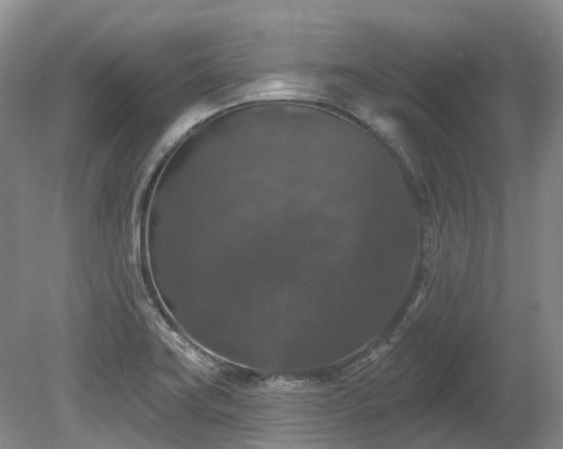 X0000080151419200612081310