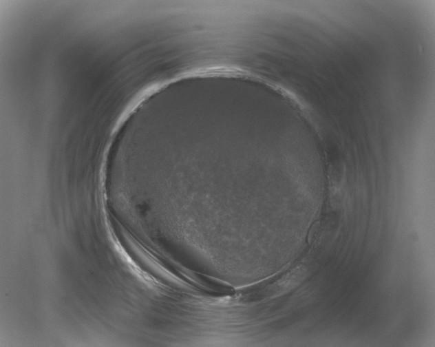 X0000080151422200612081310