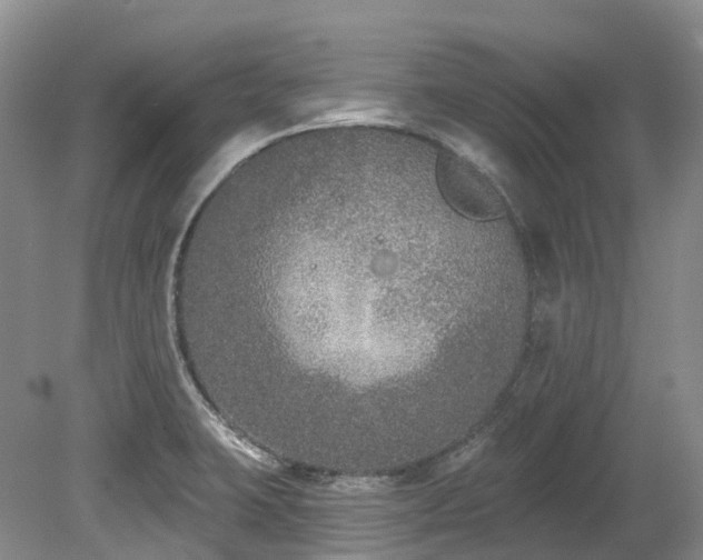 X0000080151423200612081310