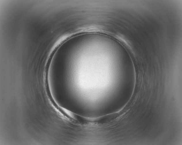 X0000080151424200612081310