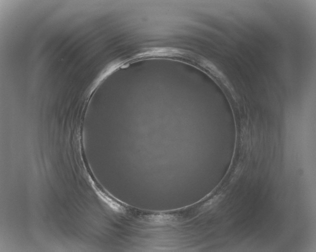 X0000080151425200612081310