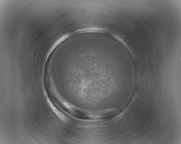 X0000080151426200612081310