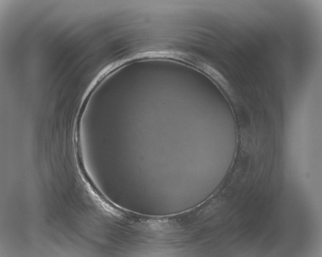 X0000080151428200612081310