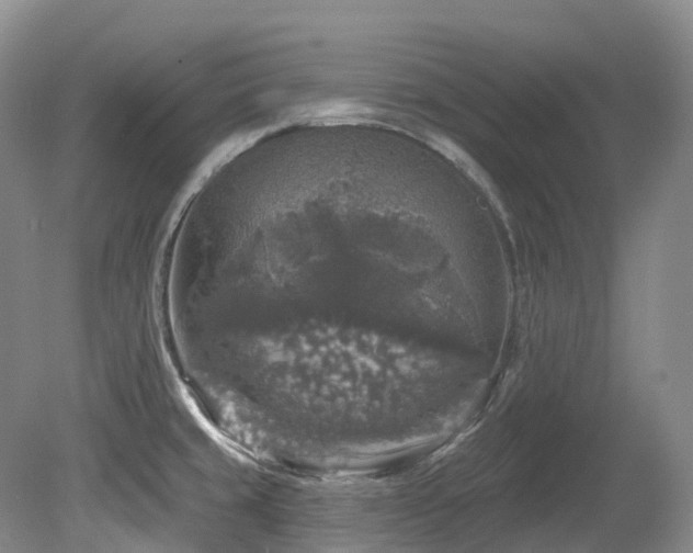 X0000080151429200612081310