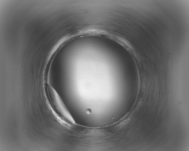 X0000080151430200612081310