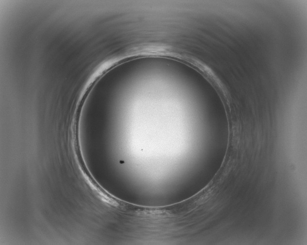 X0000080151432200612081310
