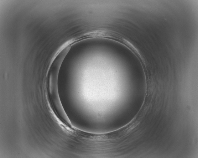 X0000080151434200612081310