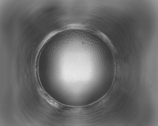 X0000080151435200612081310