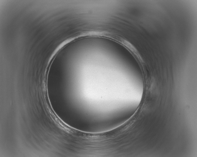 X0000080151436200612081310
