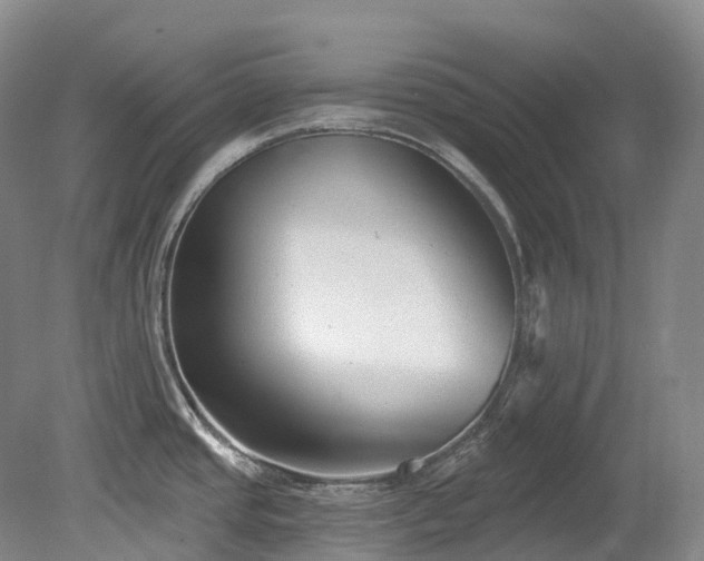 X0000080151437200612081310