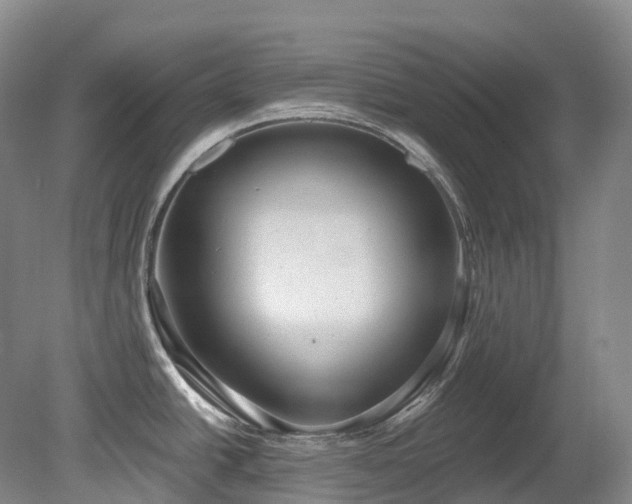 X0000080151438200612081310