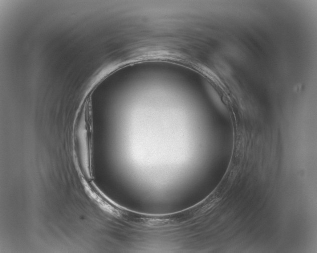 X0000080151439200612081310