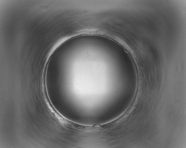 X0000080151440200612081310