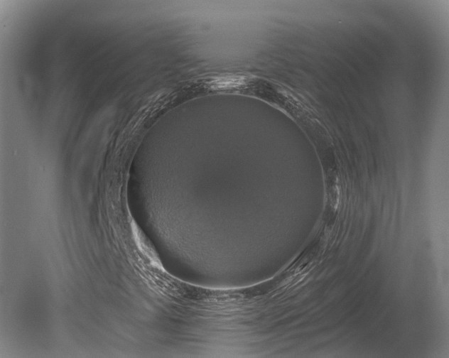 X0000080151441200612081309