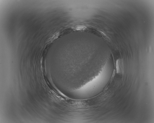 X0000080151443200612081309
