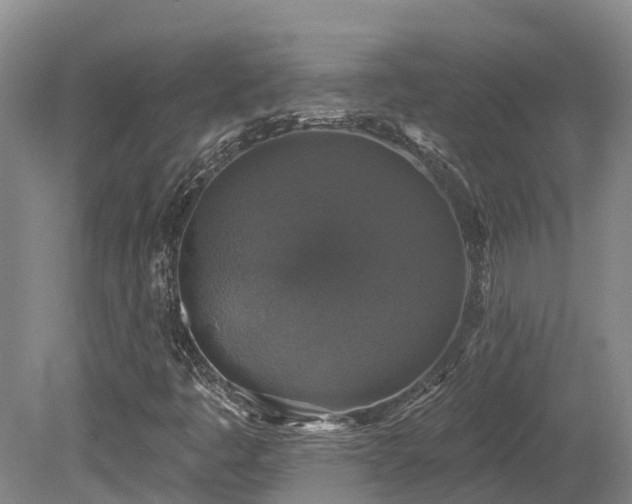 X0000080151445200612081309
