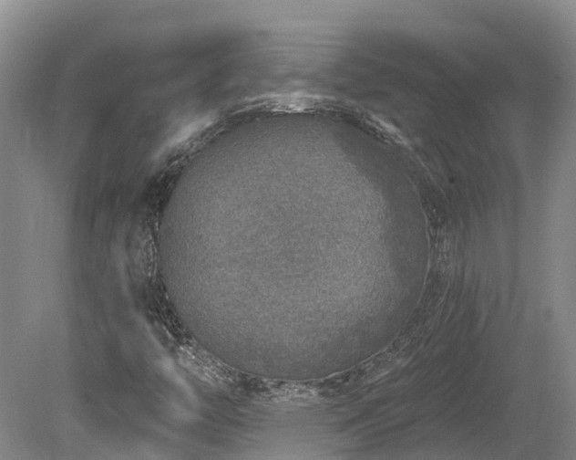 X0000080151446200612081309