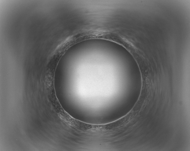 X0000080151447200612081309