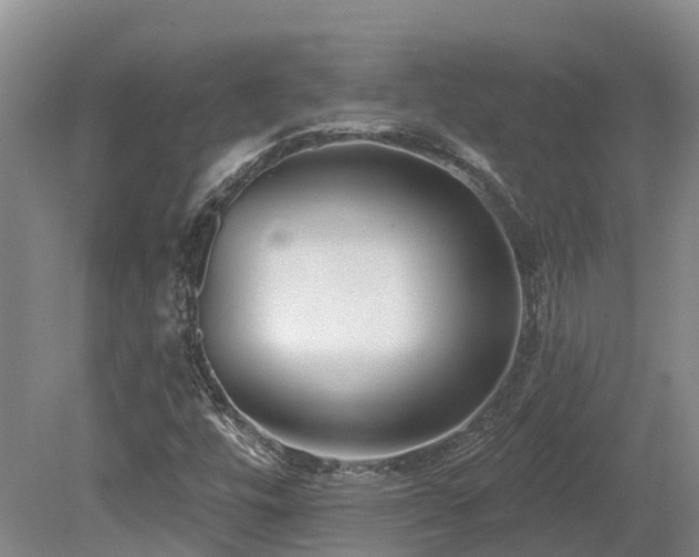 X0000080151448200612081309