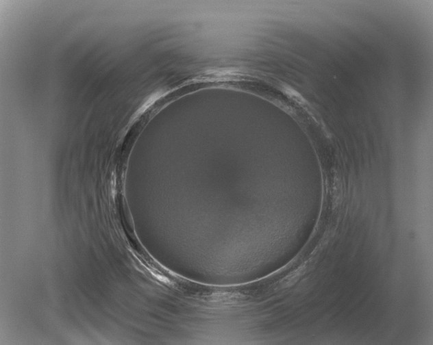 X0000080151449200612081309
