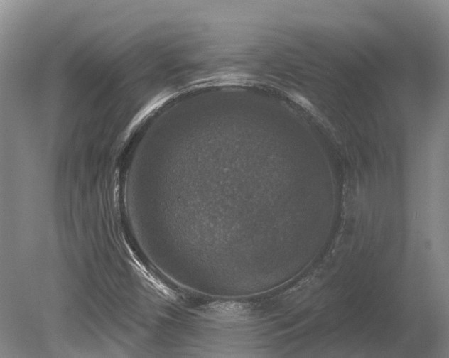 X0000080151450200612081309