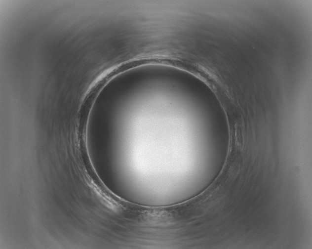X0000080151452200612081309
