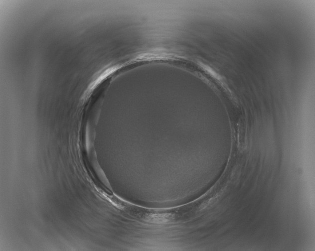 X0000080151453200612081309