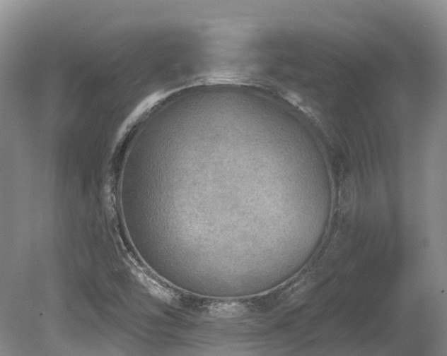 X0000080151454200612081309