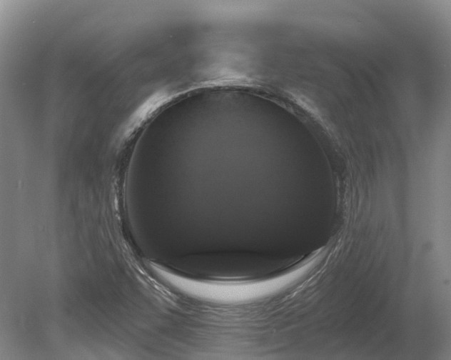 X0000080151455200612081309