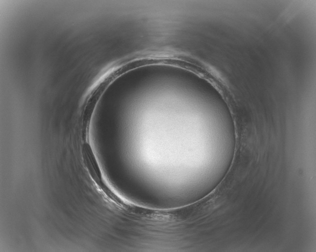 X0000080151456200612081309