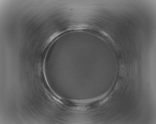 X0000080151457200612081309