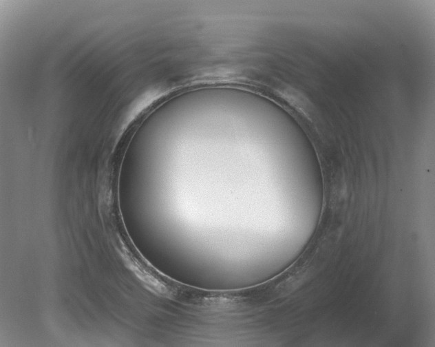 X0000080151458200612081309