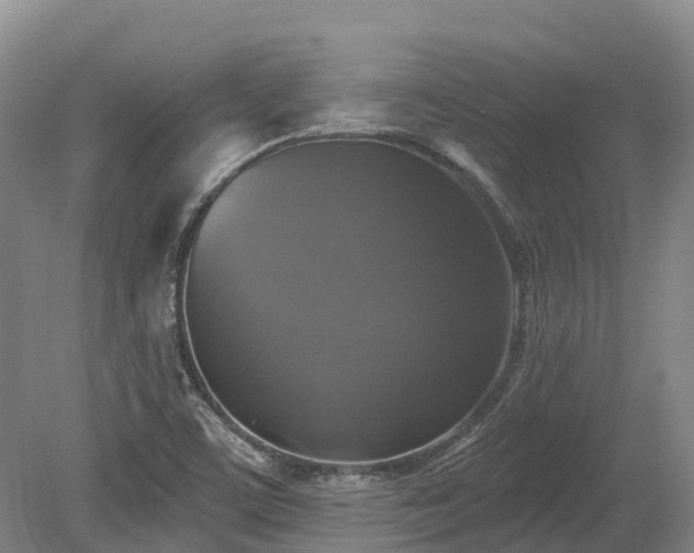 X0000080151459200612081309