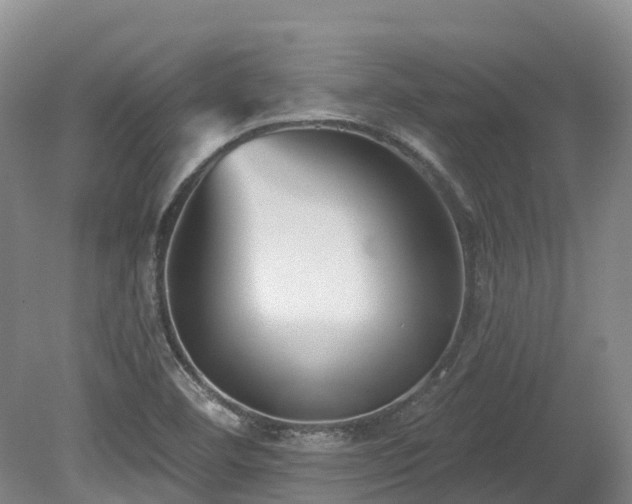 X0000080151460200612081309