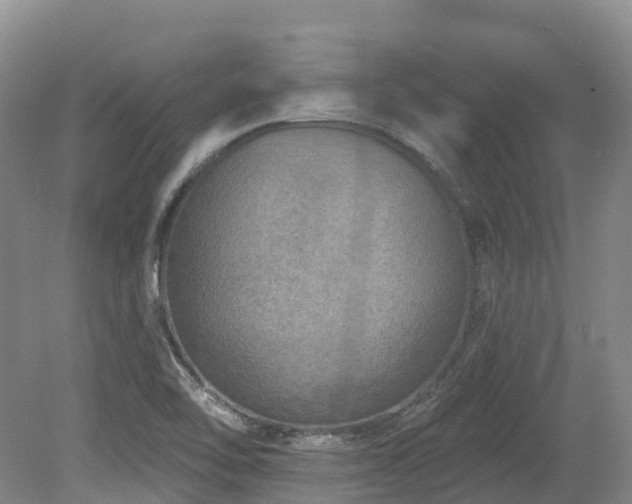X0000080151462200612081309