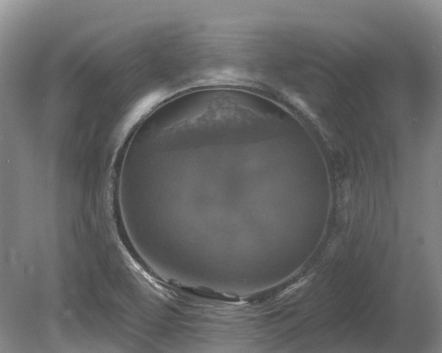 X0000080151463200612081309
