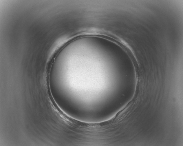 X0000080151464200612081309