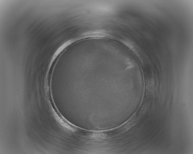 X0000080151466200612081309