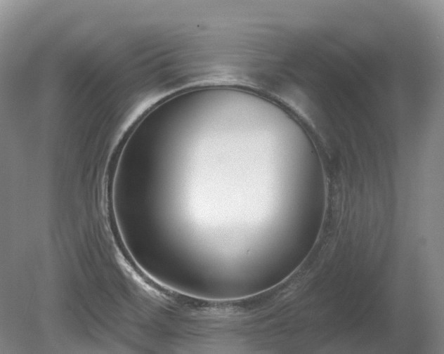 X0000080151468200612081309
