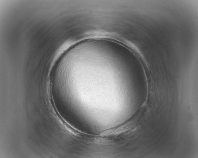 X0000080151472200612081309