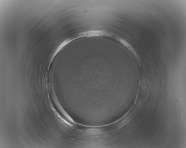 X0000080151473200612081309