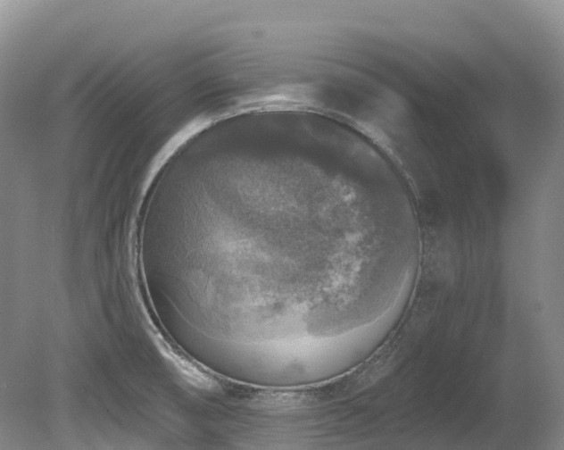 X0000080151474200612081309