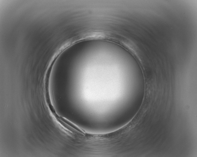 X0000080151475200612081309